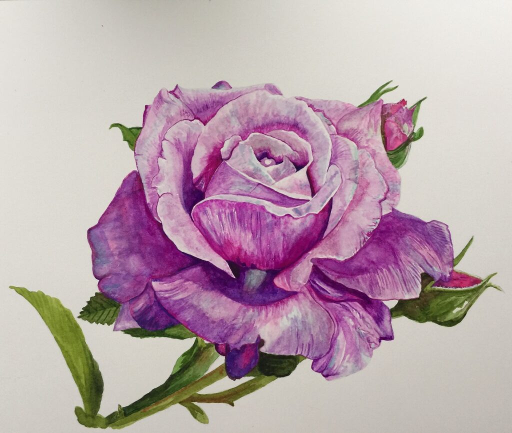 how to paint a flower with watercolor