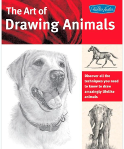 Book, animal drawing